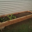 DIY-raised-bed-garden