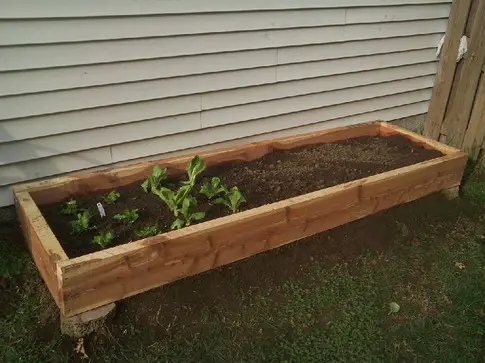 DIY Wood Raised Bed Gardens