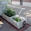 Self_Watering_Garden
