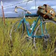 Bike rides don't have to be just exercise, they can be fun too.