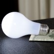 going-green-saves-money