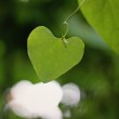 green-resolutions