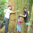 hugging-a-tree