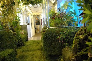 Nature in a Rail Car...Literally