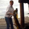 seaweed-fertilizer