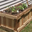 shipping-pallet-container-garden