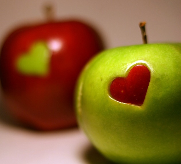 5 Green Valentine s Day Date Ideas The Fun Times Guide To Living Green