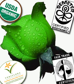 organic-green-roses.jpg