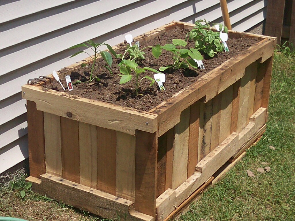 Raised Bed Garden Using Wooden Pallets