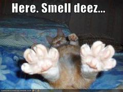 stinky-household-odors.jpg
