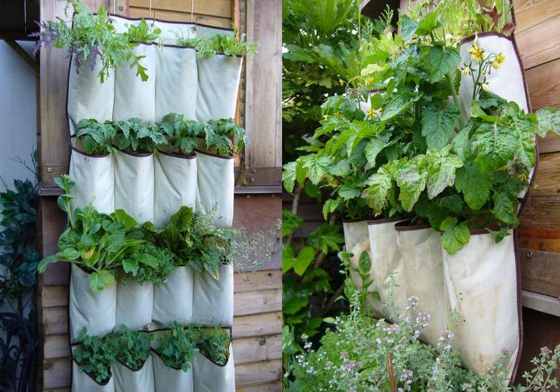 Vertical Herb Garden