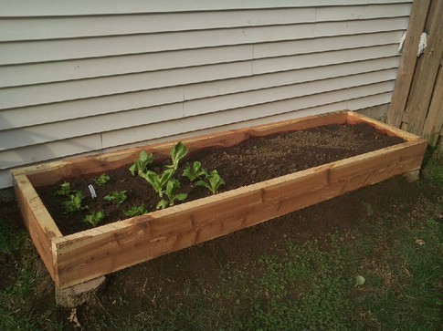 DIY-raised-bed-garden.jpg