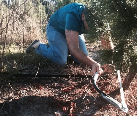 Here I am cutting our tree at a Christmas tree farm in Florida. 