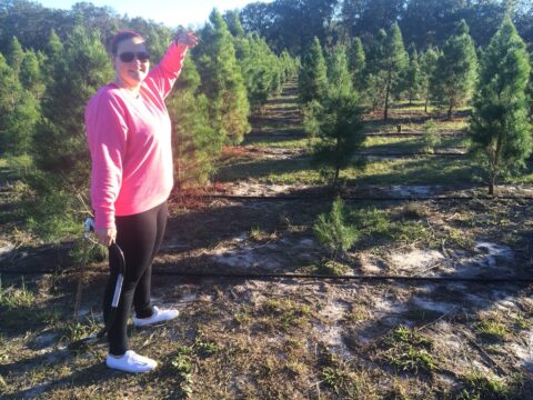 Real vs. Fake Christmas Trees: What’s Better For The Environment?