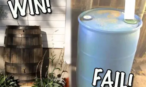 Here are 3 cheap DIY rain barrels that actually look nice!