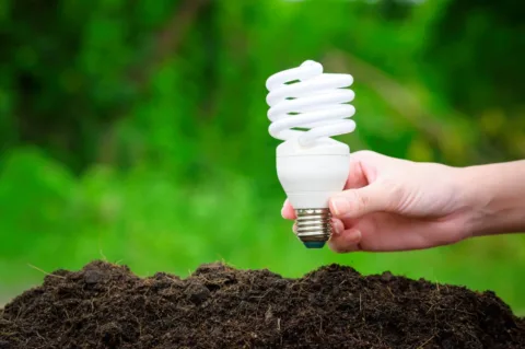 Home Depot is giving away free CFL light bulbs for Earth Day!
