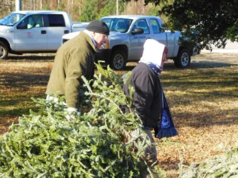 Christmas tree lots and farms often give away free trees during their last day of operation -- on or near December 24. 