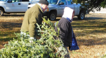 Christmas tree lots and farms often give away free trees during their last day of operation -- on or near December 24.