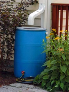 make-a-rain-barrel