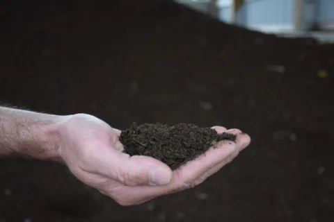 organic-fertilizer-made-from-animal-waste