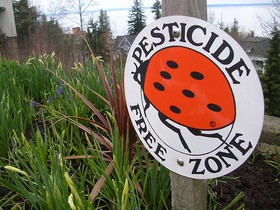 pesticide-free-gardening-pilliebee.jpg