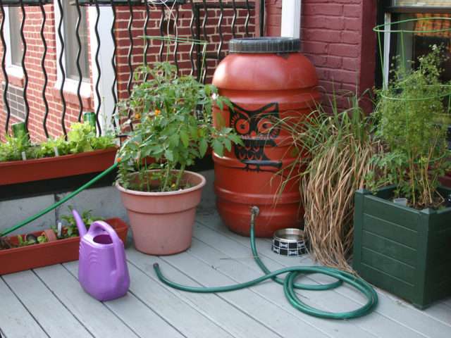 Using a natural painted rain barrel and some potted plants is one way to make your own pretty rain barrels.