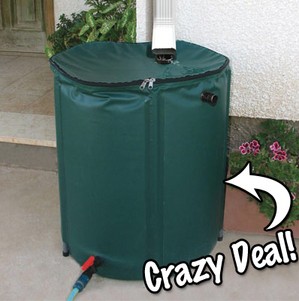 rain-barrel-cheap.jpg