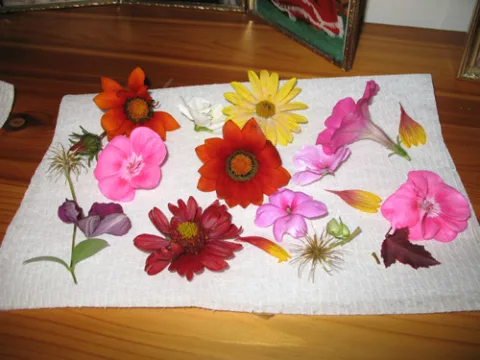 Recycle Pressed Flowers