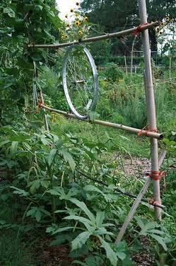 recycled-bicycle-wheel-trellis.jpg