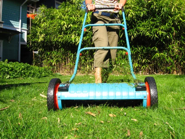 reel mower