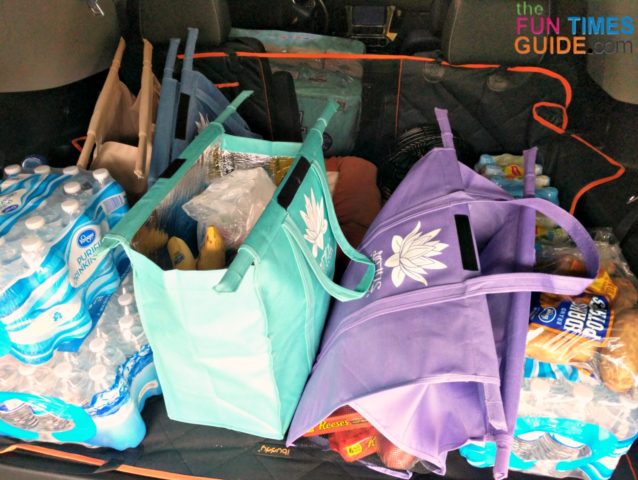 shopping-cart-bags-in-the-trunk