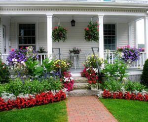 Tips For Watering Plants On Vacation - How To Keep Your Flowers ...