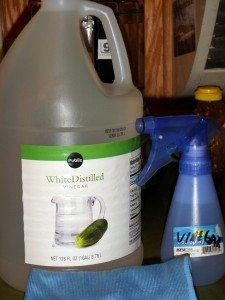 white-vinegar-spray-bottle