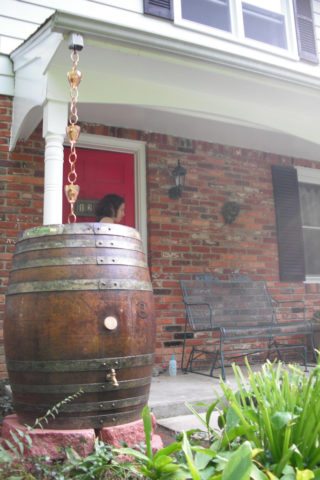 Wooden rain barrels and rain chains are often considered the best looking... and they are affordable!